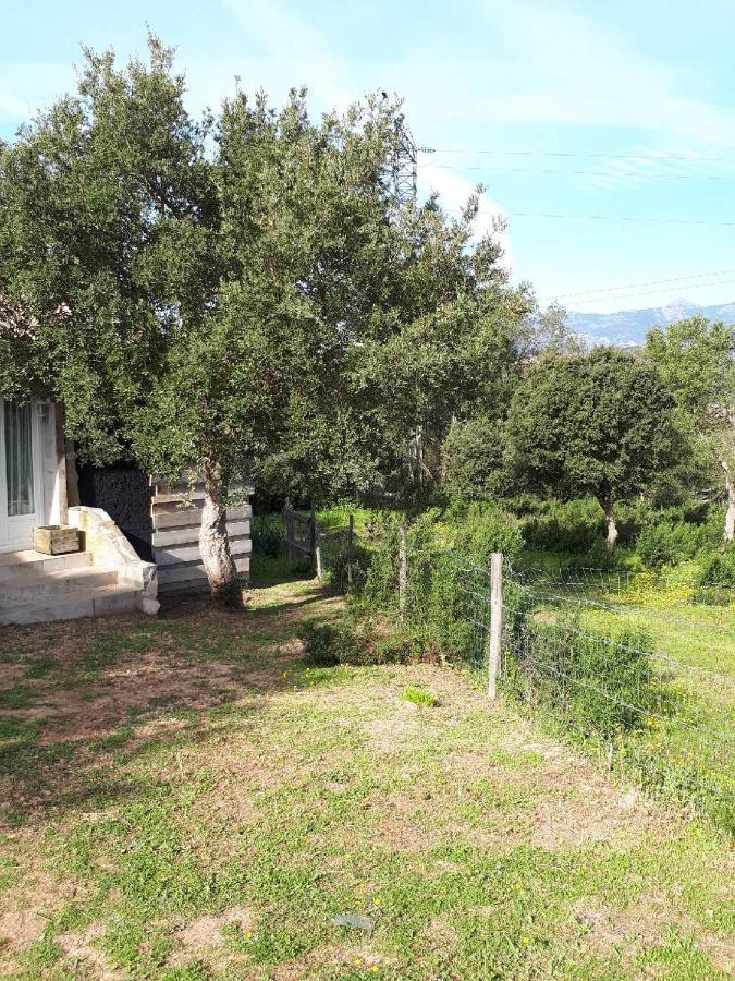 casa gattu Villa Porto Vecchio Esterno foto