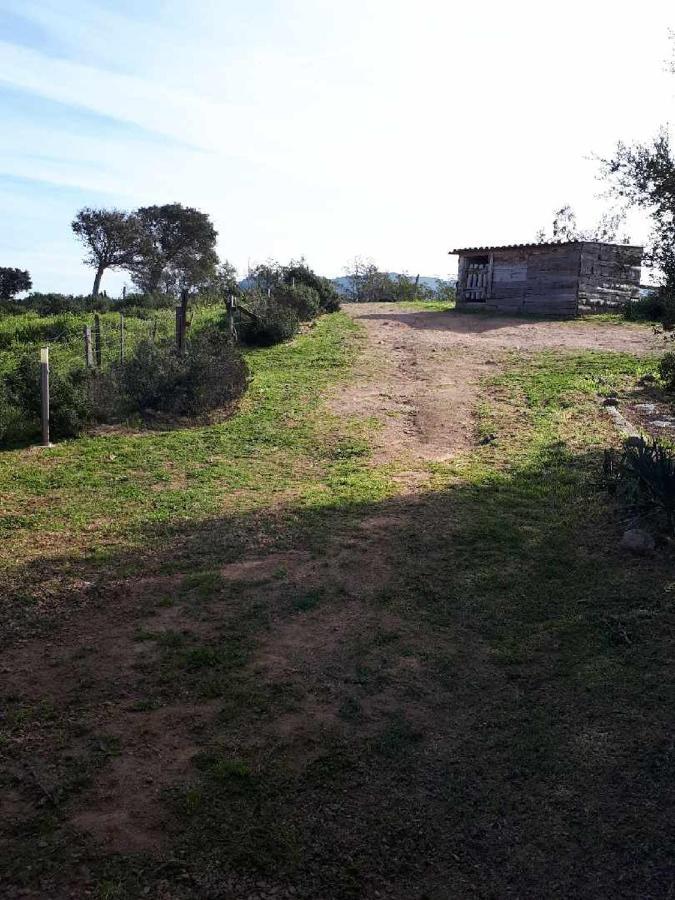 casa gattu Villa Porto Vecchio Esterno foto