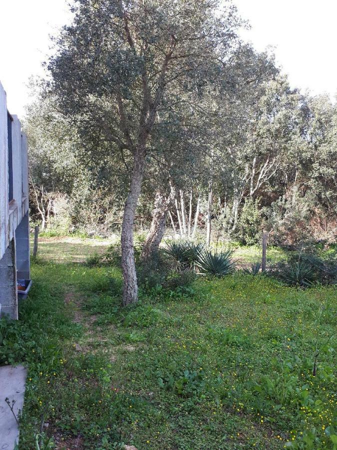 casa gattu Villa Porto Vecchio Esterno foto