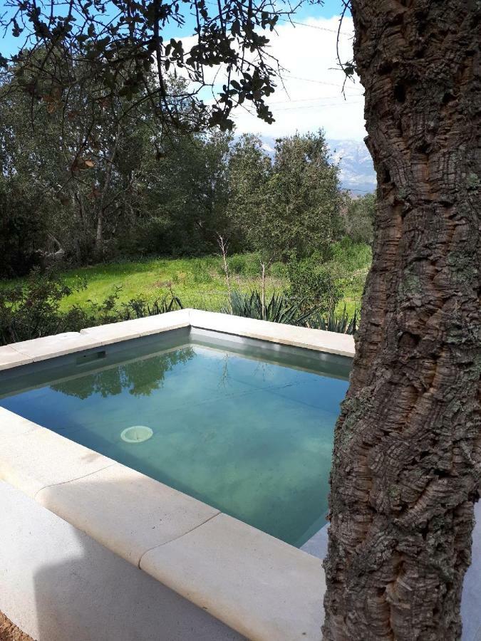 casa gattu Villa Porto Vecchio Esterno foto