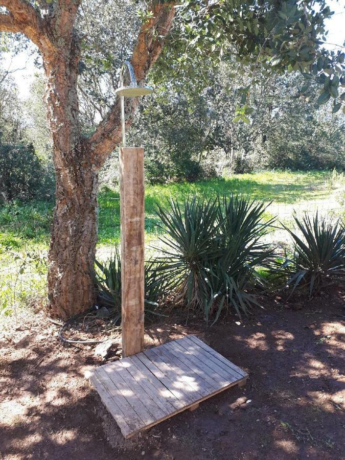 casa gattu Villa Porto Vecchio Esterno foto
